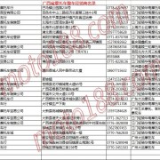 廣西省摩托車整車經銷商 (10)